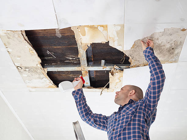 Best Asbestos and Lead Testing During Mold Inspection  in Grayson, KY